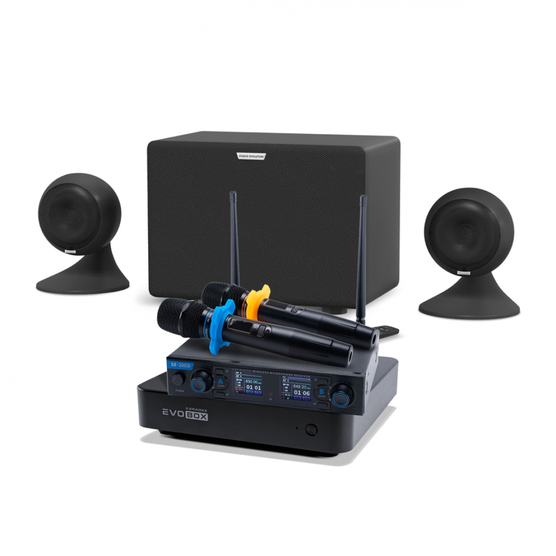 караоке-комплект EVOBOX + EvoSound Sphere 2.1 в Губкине