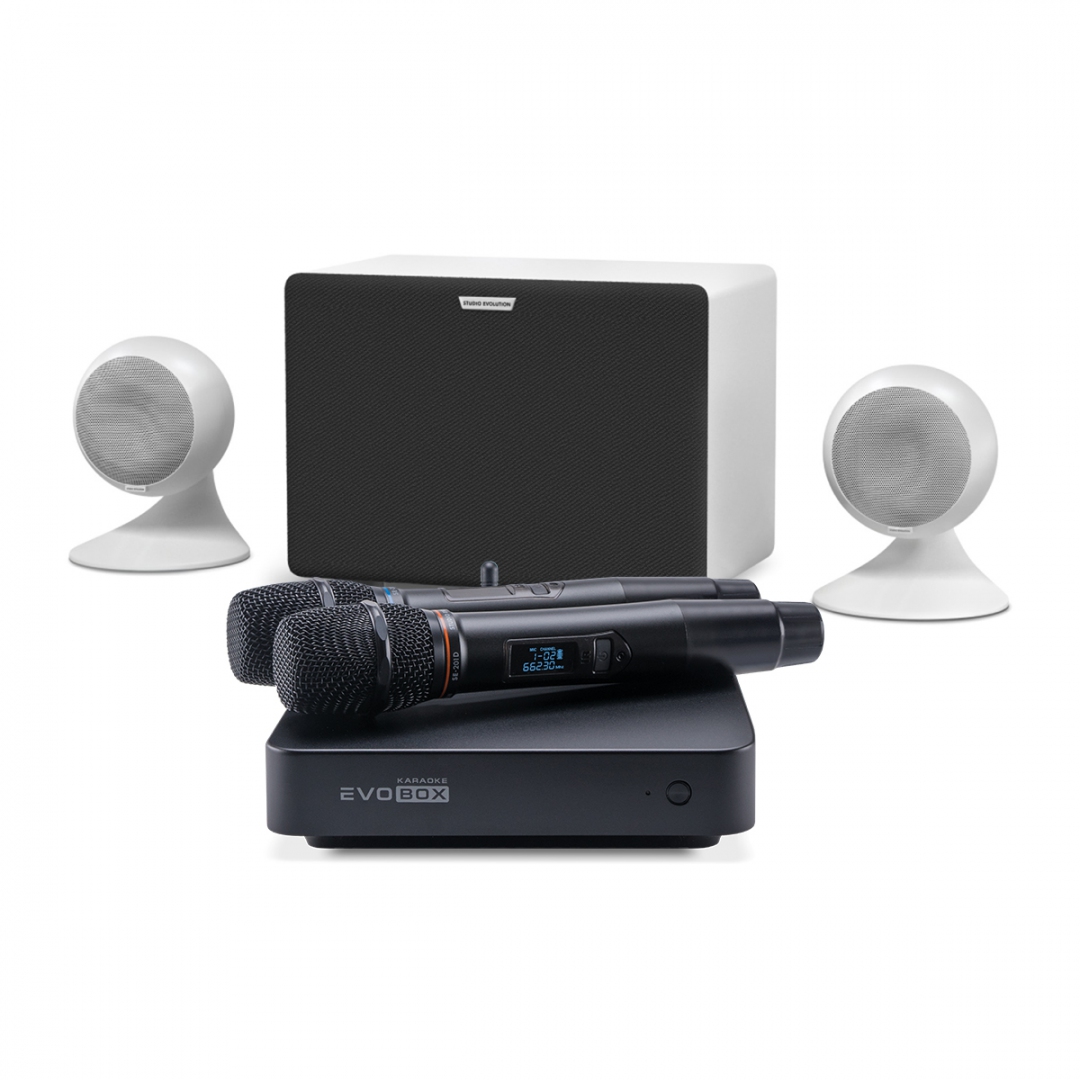 караоке-комплект EVOBOX Classic + EvoSound Sphere 2.1 в Губкине