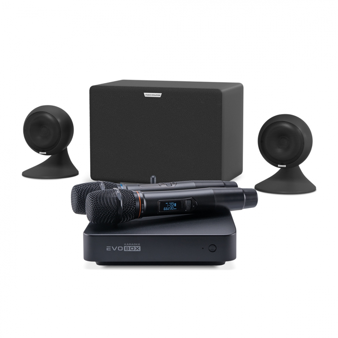 караоке-комплект EVOBOX Plus + EvoSound Sphere 2.1 в Губкине