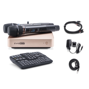 EVOBOX Classic караоке-система для дома в Губкине