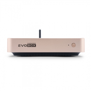 EVOBOX Plus караоке-система для дома в Губкине