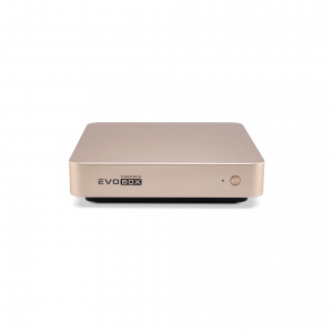 EVOBOX с микрофонами в Губкине